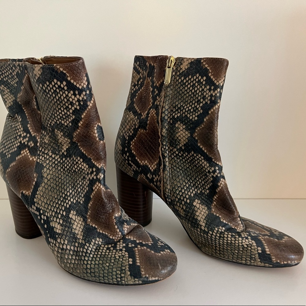 Sam Edelman snakeskin booties